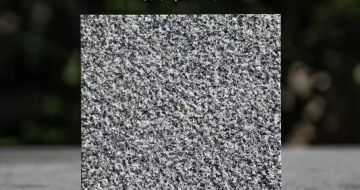 石嘴山 芝麻黑荔枝面