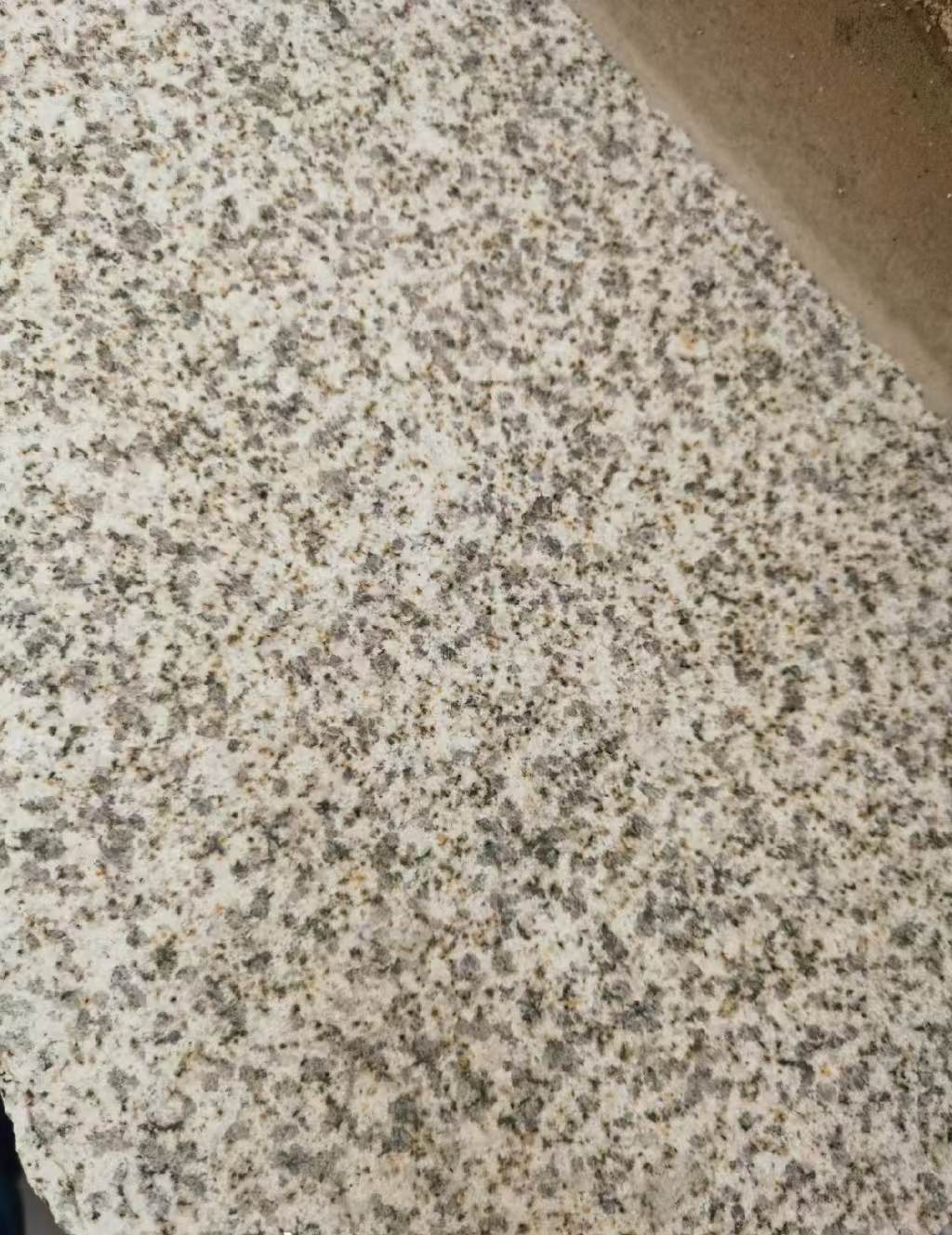 石嘴山 黄金麻中黄光面