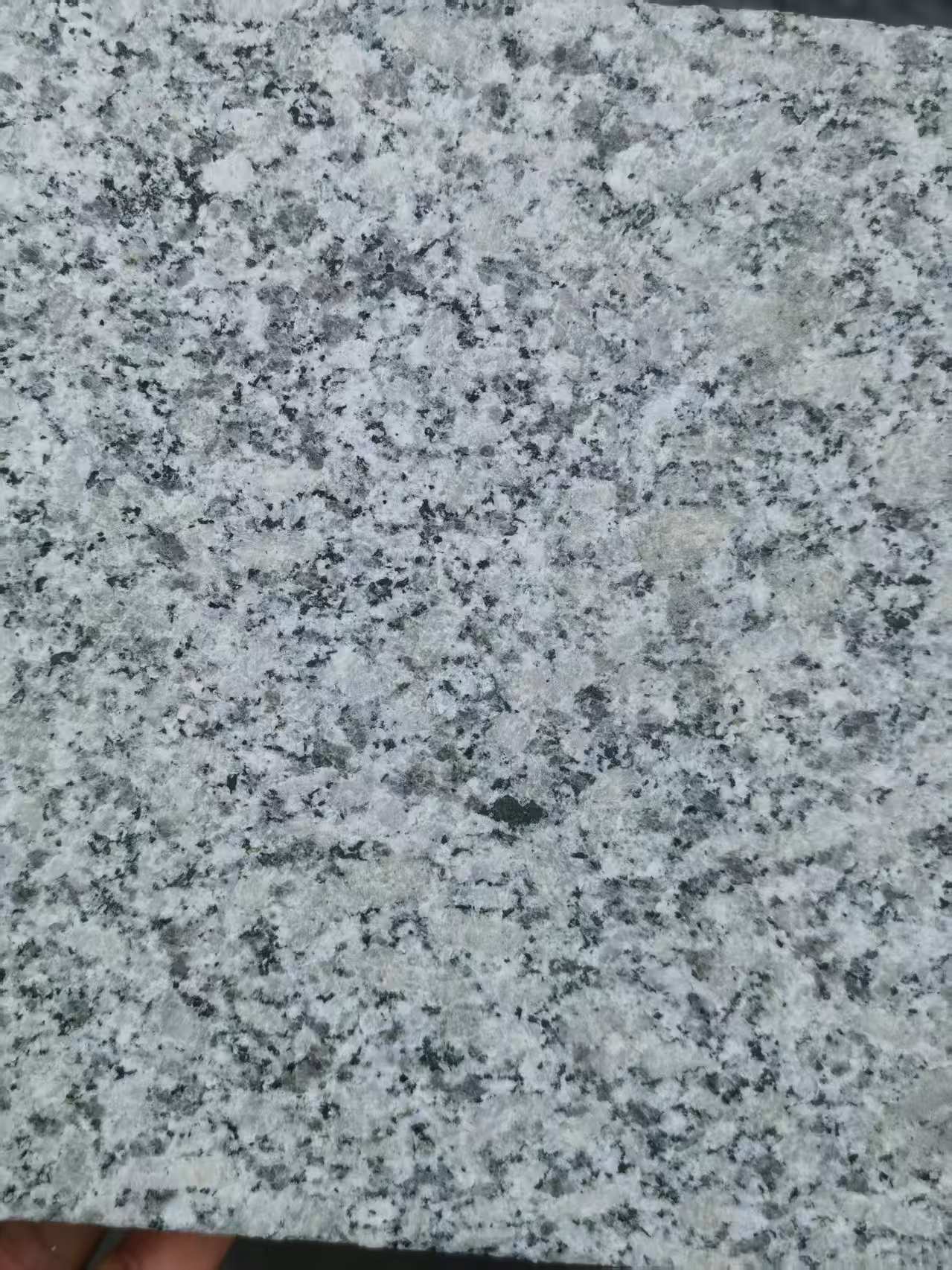 石嘴山 芙蓉白火烧面